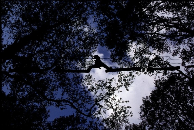  adrenalina y aire libre